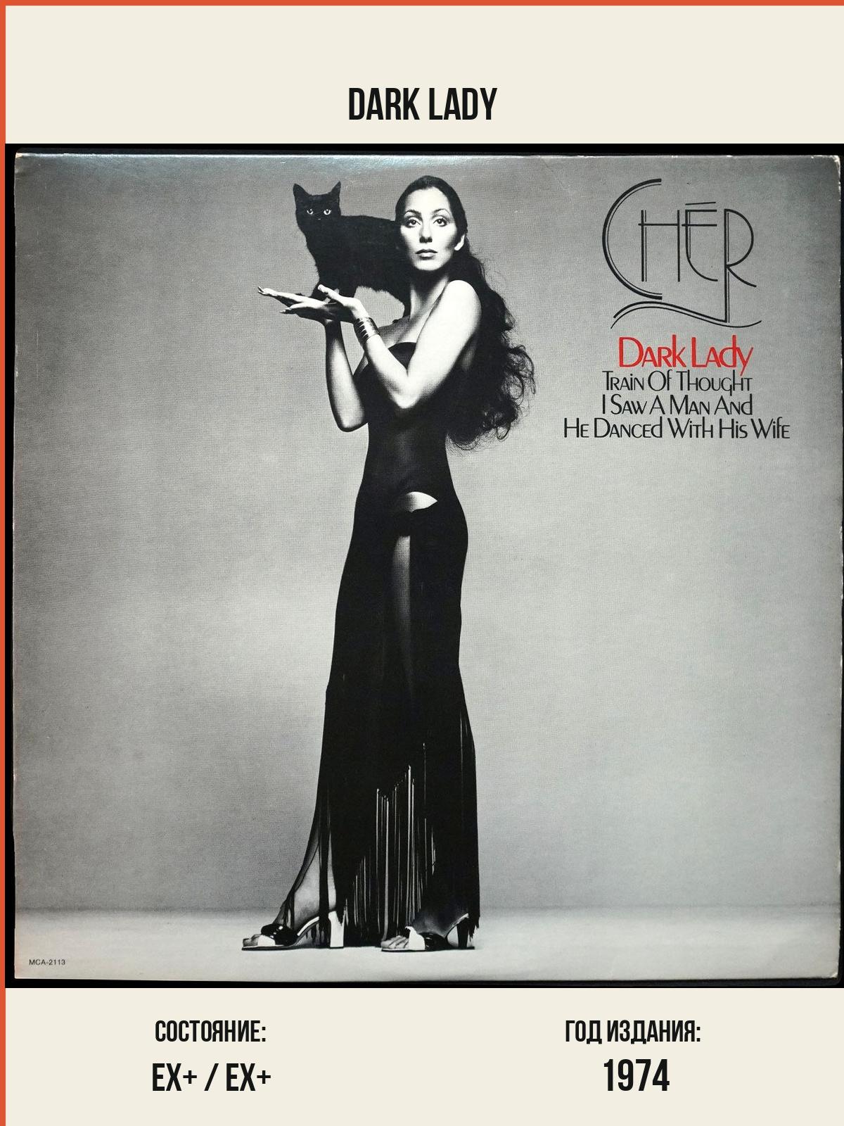 Виниловая пластинка MCA Cher – Dark Lady