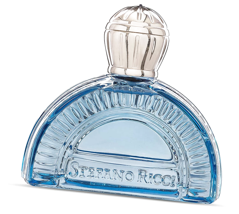Парфюмерная вода для мужчин Blue Classic Stefano Ricci 100 мл / Стефано Ричи