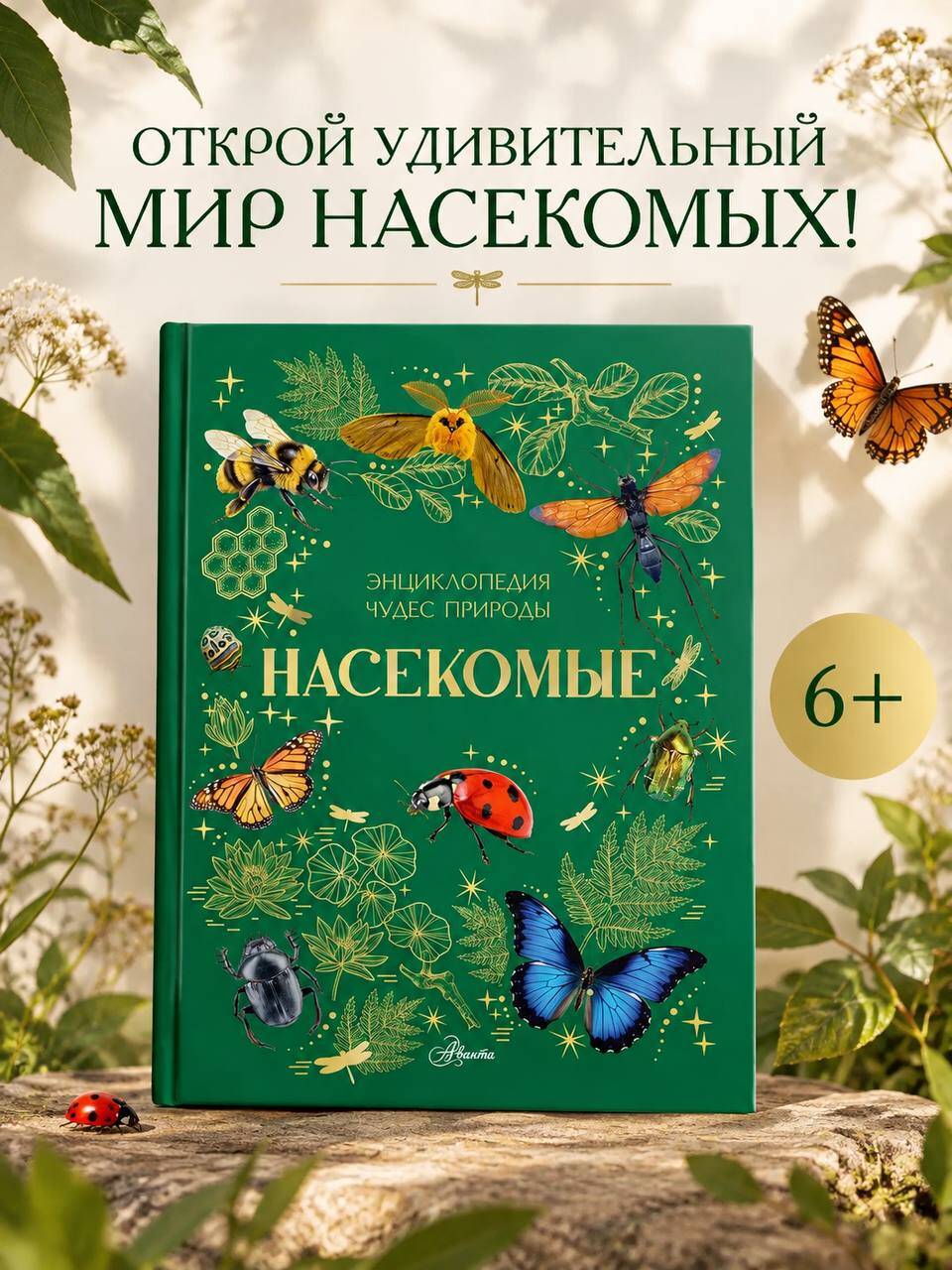 Насекомые — фото 1