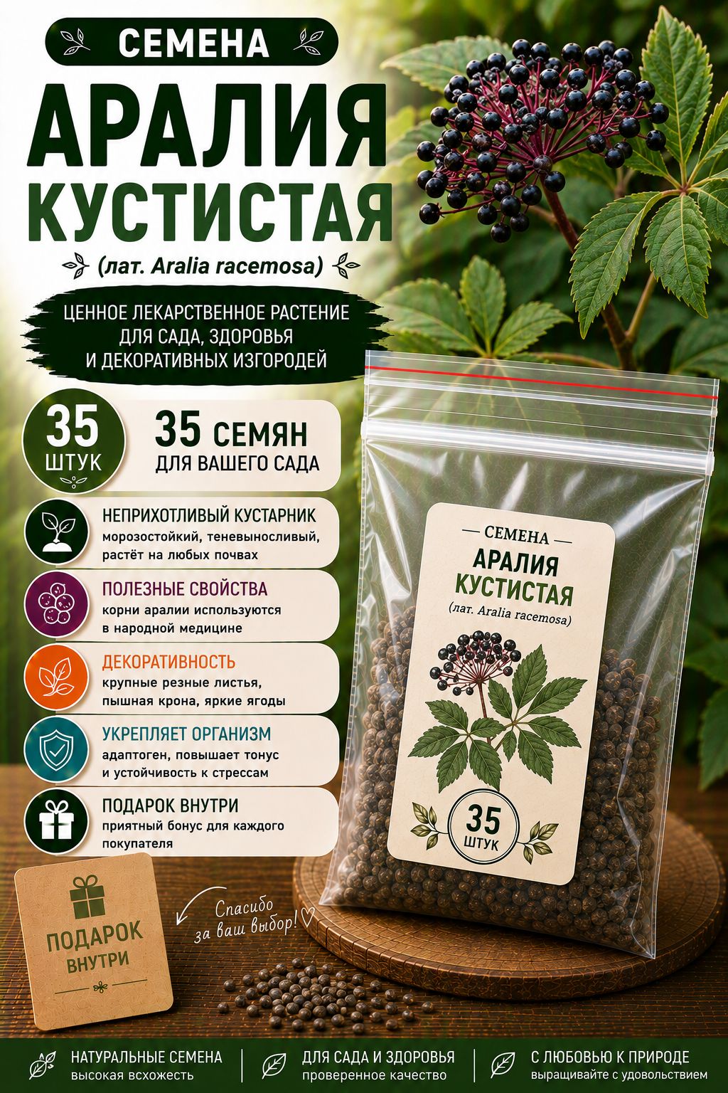 Семена Аралия кустистая (лат. Aralia racemosa) 35 шт