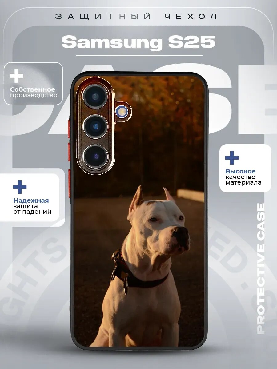 Чехол на Samsung S25 с принтом стафф