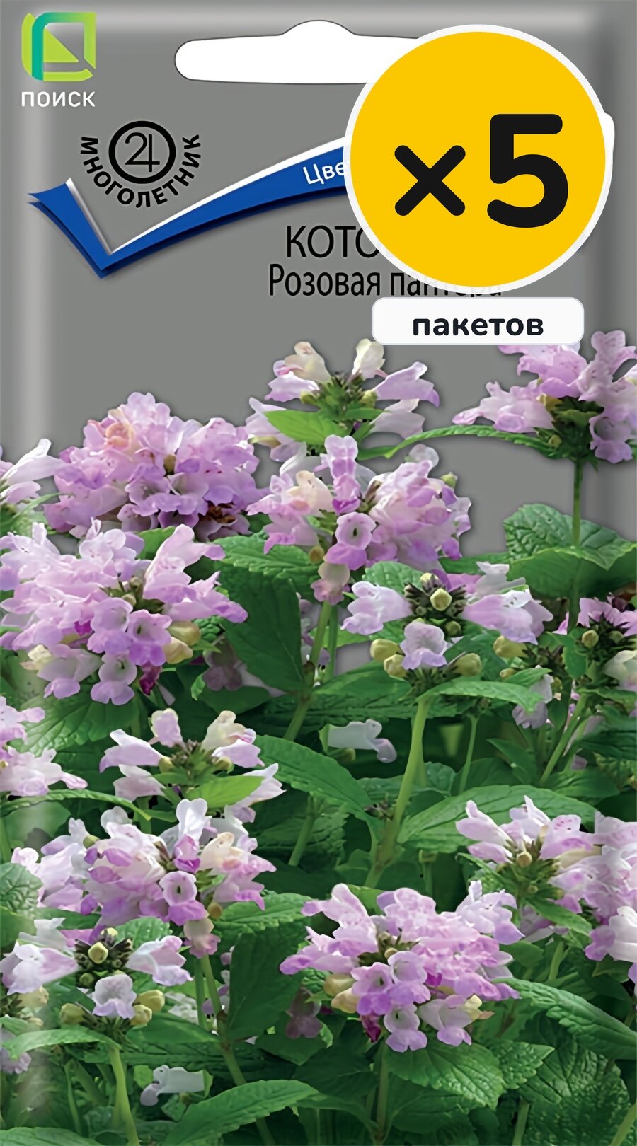 Семена котовника Розовая пантера, 10 шт, 5 пакетов, Поиск, многолетник, высота до 50 см, посев на рассаду в марте