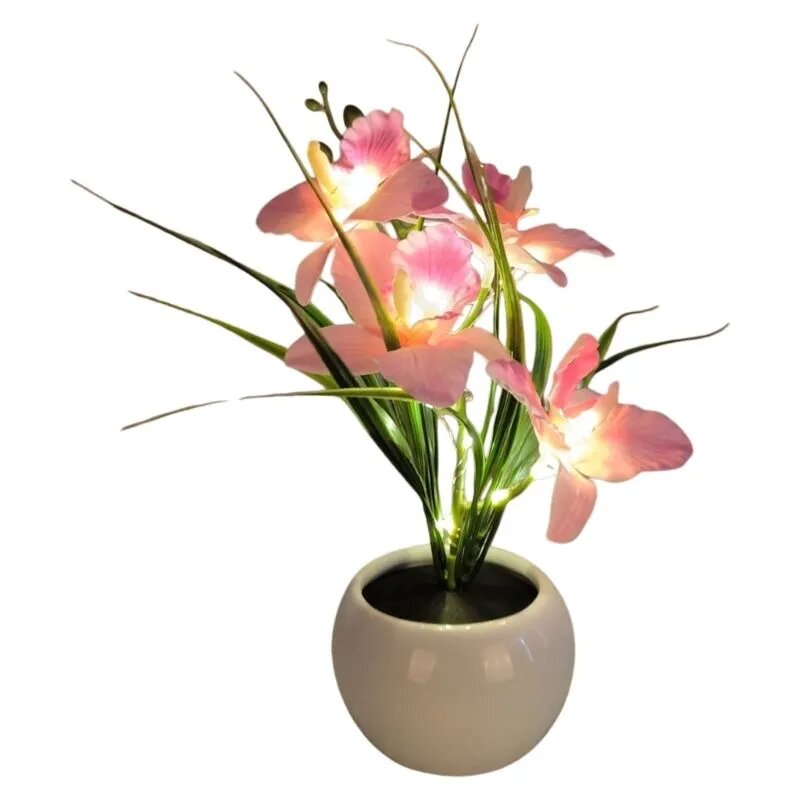 (Один) перезаряжаемый через USB ночник Phalaenopsis (для хранения)-розовый