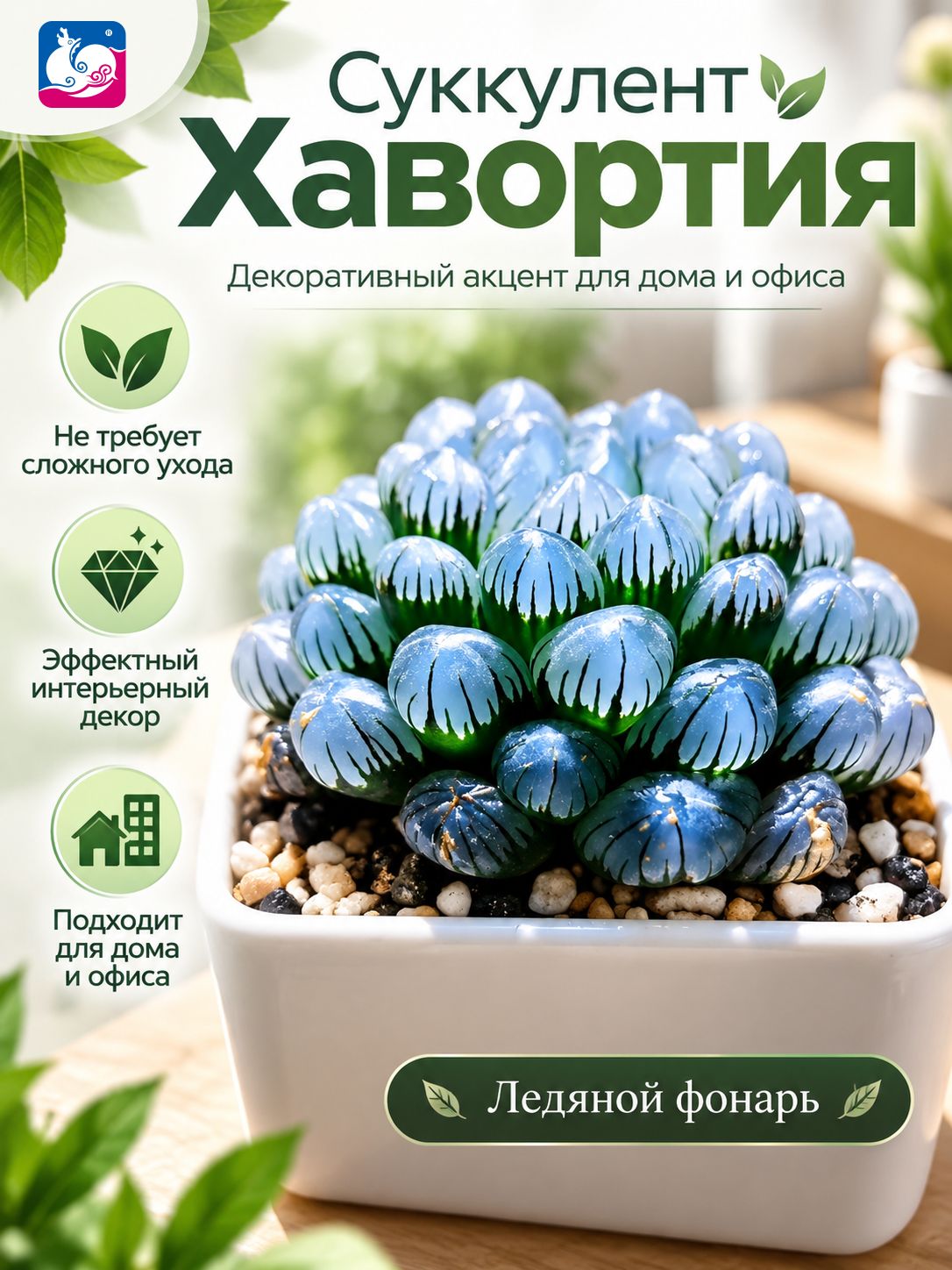 Стабилизированные цветы 1 шт