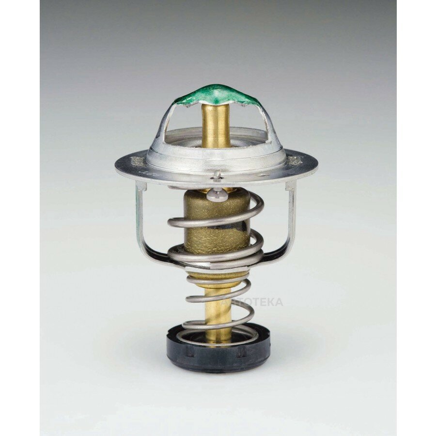 Термостат TAMA WV44DB88