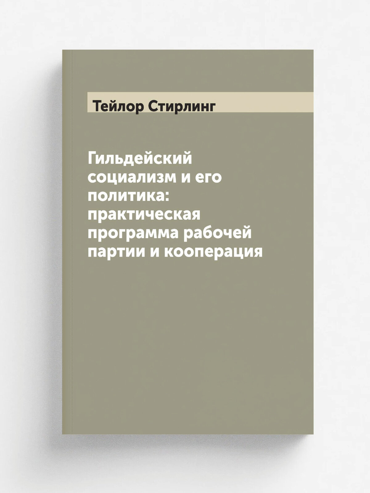 Гильдейский социализм и его политика: практическая программа рабочей партии и кооперация