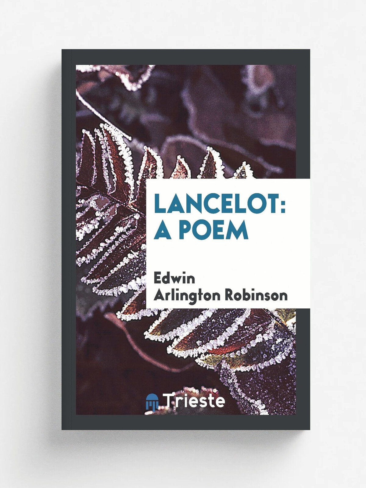 Lancelot. A Poem