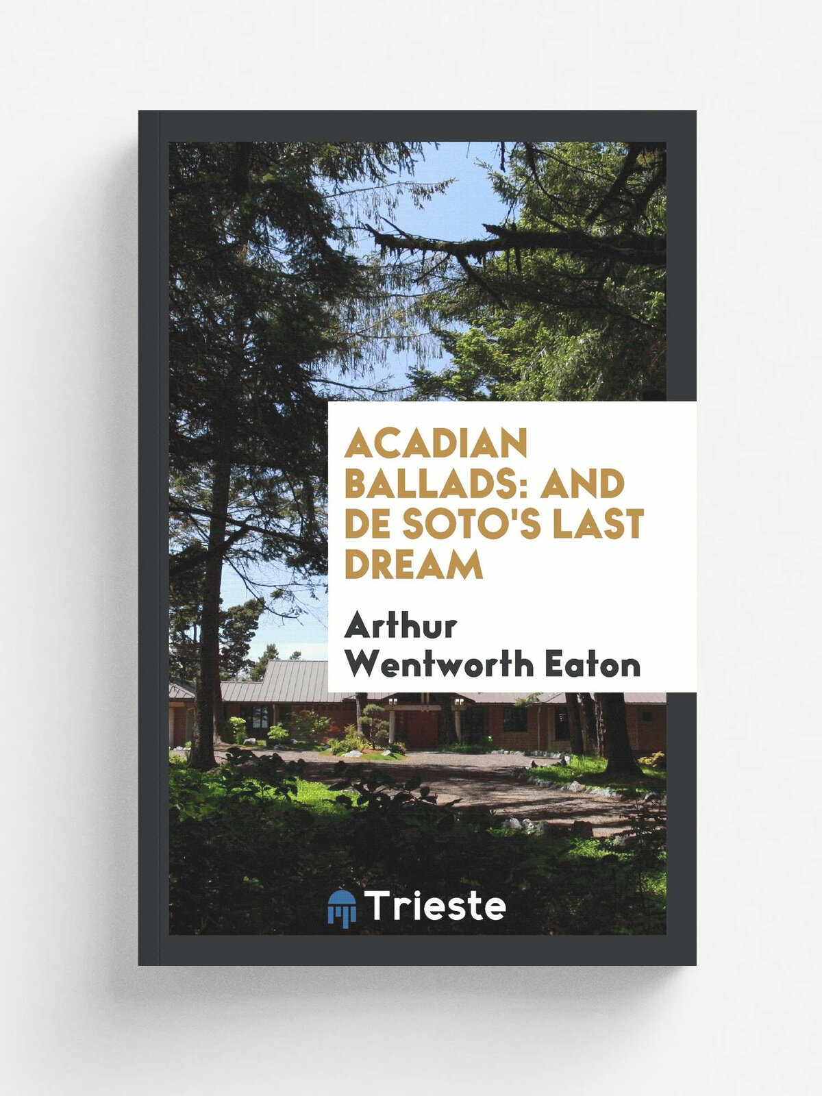 Acadian Ballads. And De Soto's Last Dream