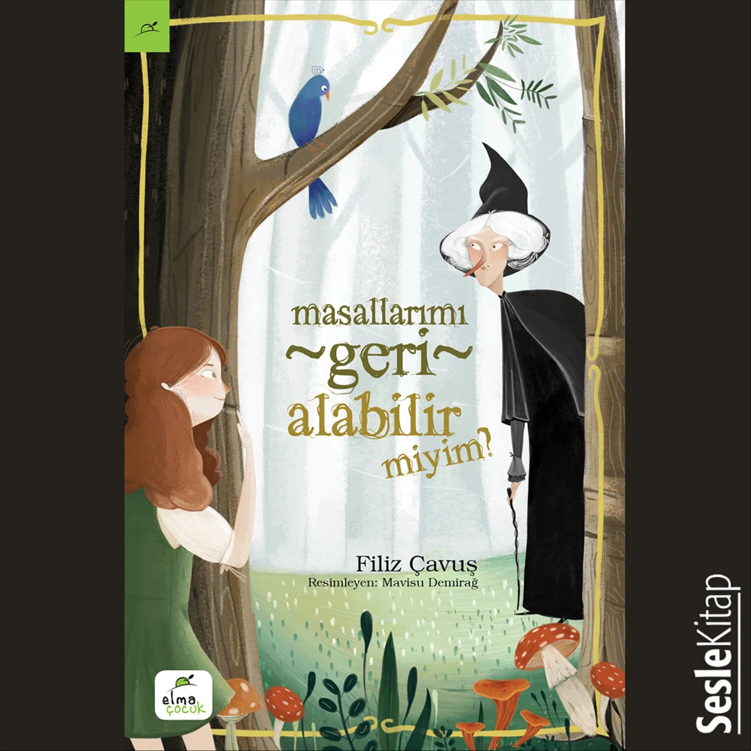 Masallarımı Geri Alabilir miyim? [Аудиокнига]
