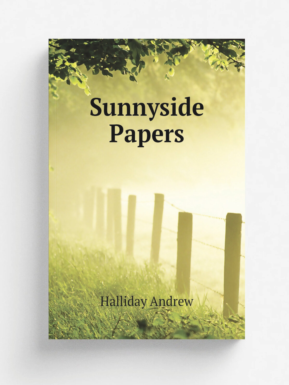 Sunnyside Papers | Halliday Andrew | Репринт