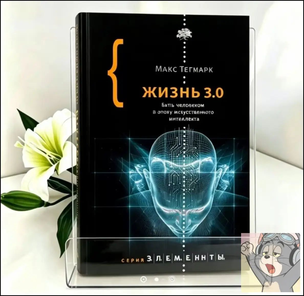 Life3.0: Being Human in the Age of Artificial Intelligence - Научно-популярная литература о будущем ИИ и человечества