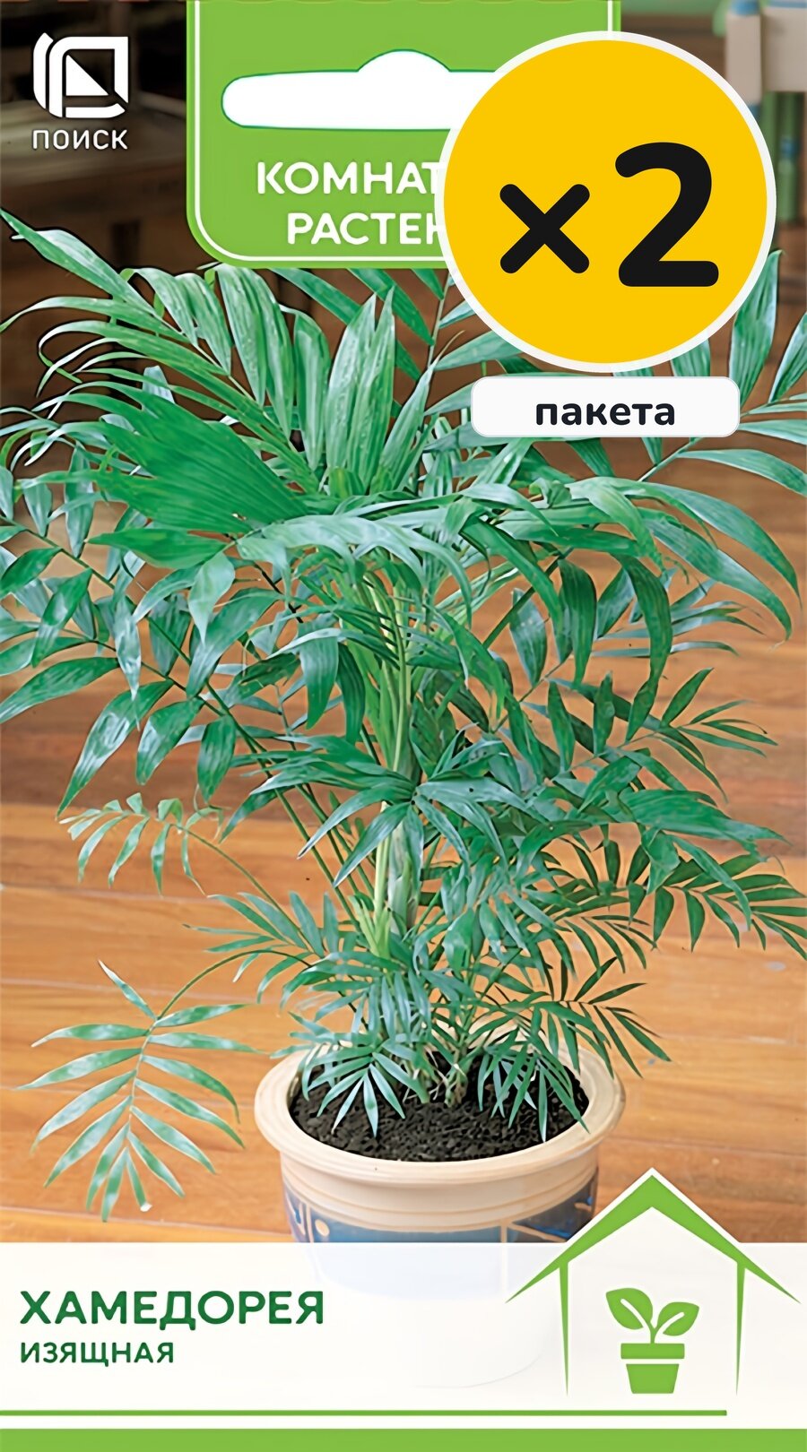Семена хамедореи Изящная, 5 шт, 2 пакета, Поиск, многолетник, высота до 150 см, посев на рассаду в феврале–марте
