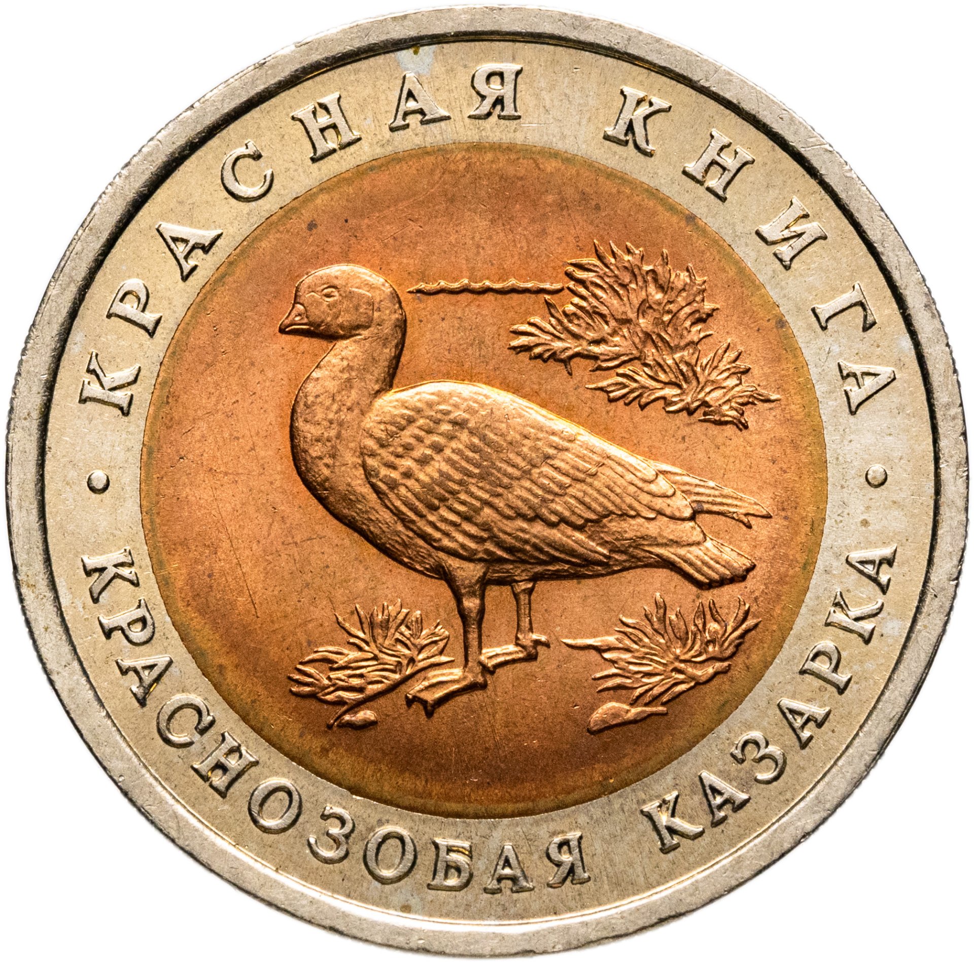 10 рублей 1992 ЛМД Краснозобая казарка - Красная книга, Биметалл, в сохранности UNC