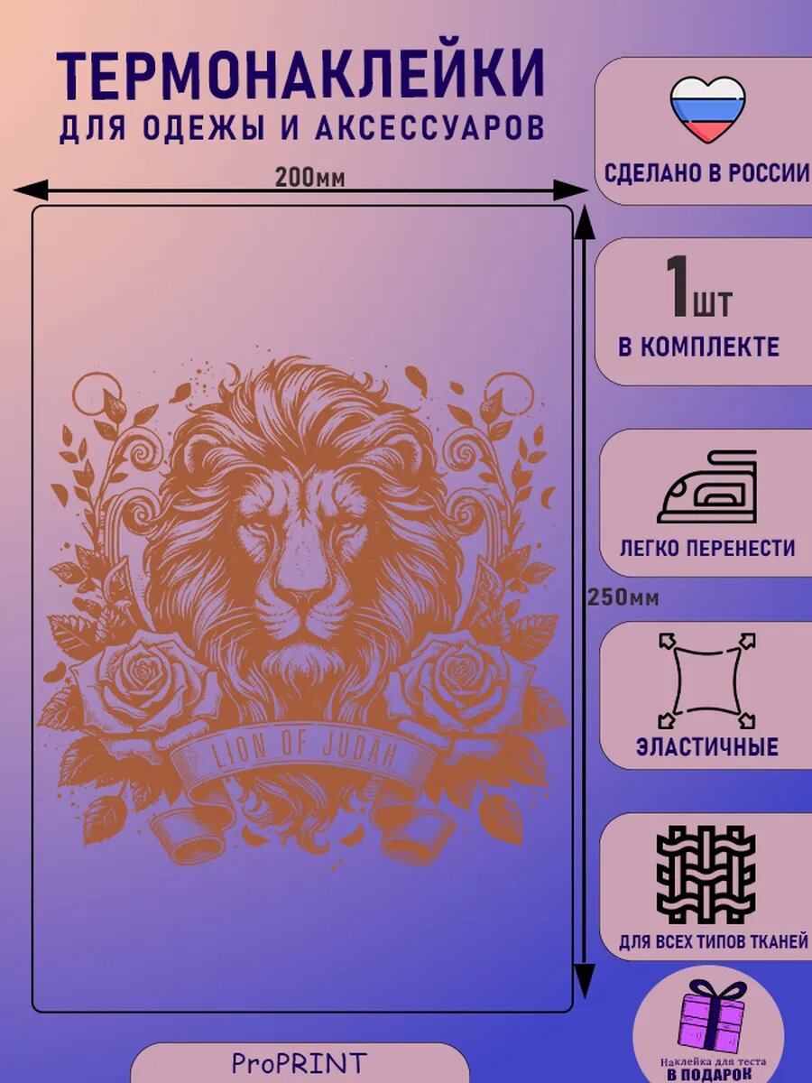 Термонаклейка надпись на одежду