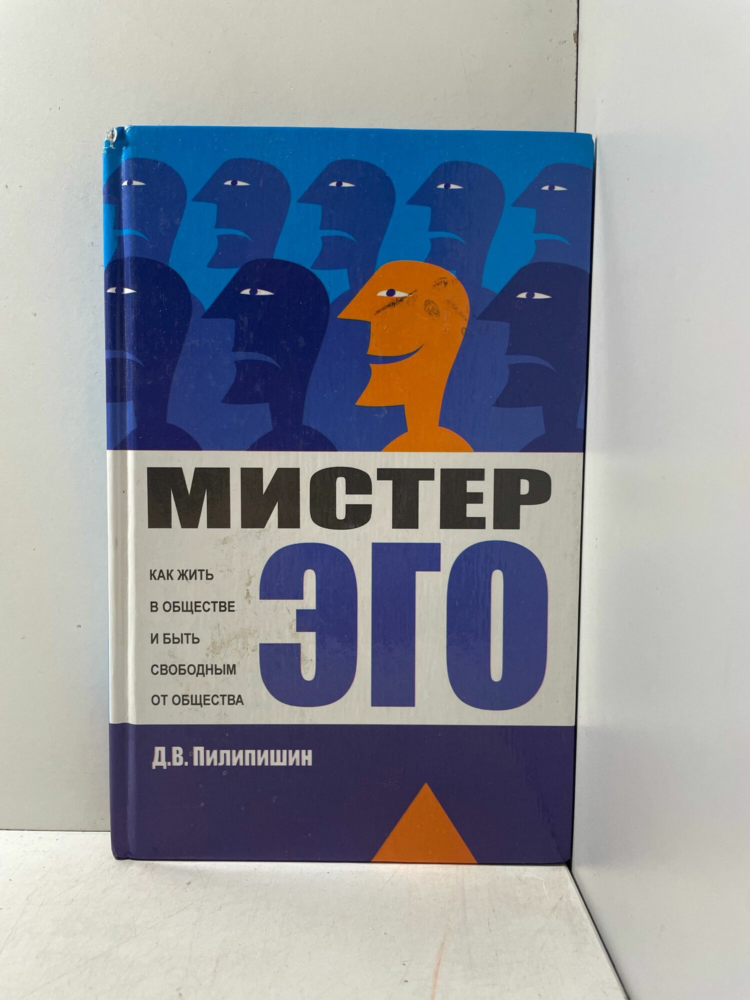 Мистер Эго. Как жить в обществе и быть свободным от общества / Д. В. Пилипишин