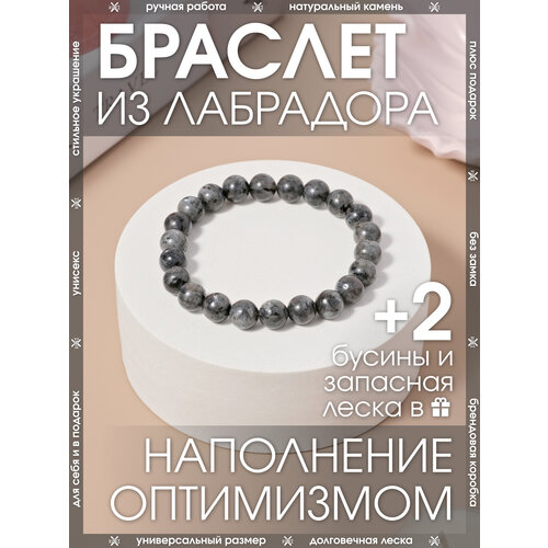 фото Эластичный браслет x-rune, лабрадор, 1 шт., размер 16 см, диаметр 6 см, серый