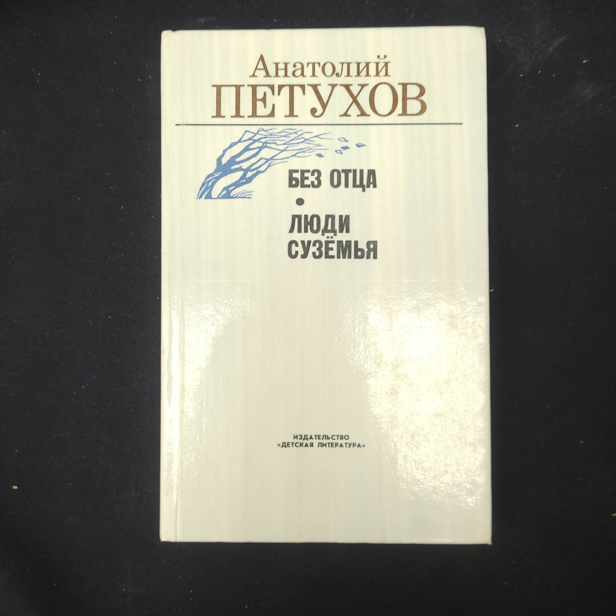 Анатолий Петухов. Без отца. Люди Суземья. Повести.