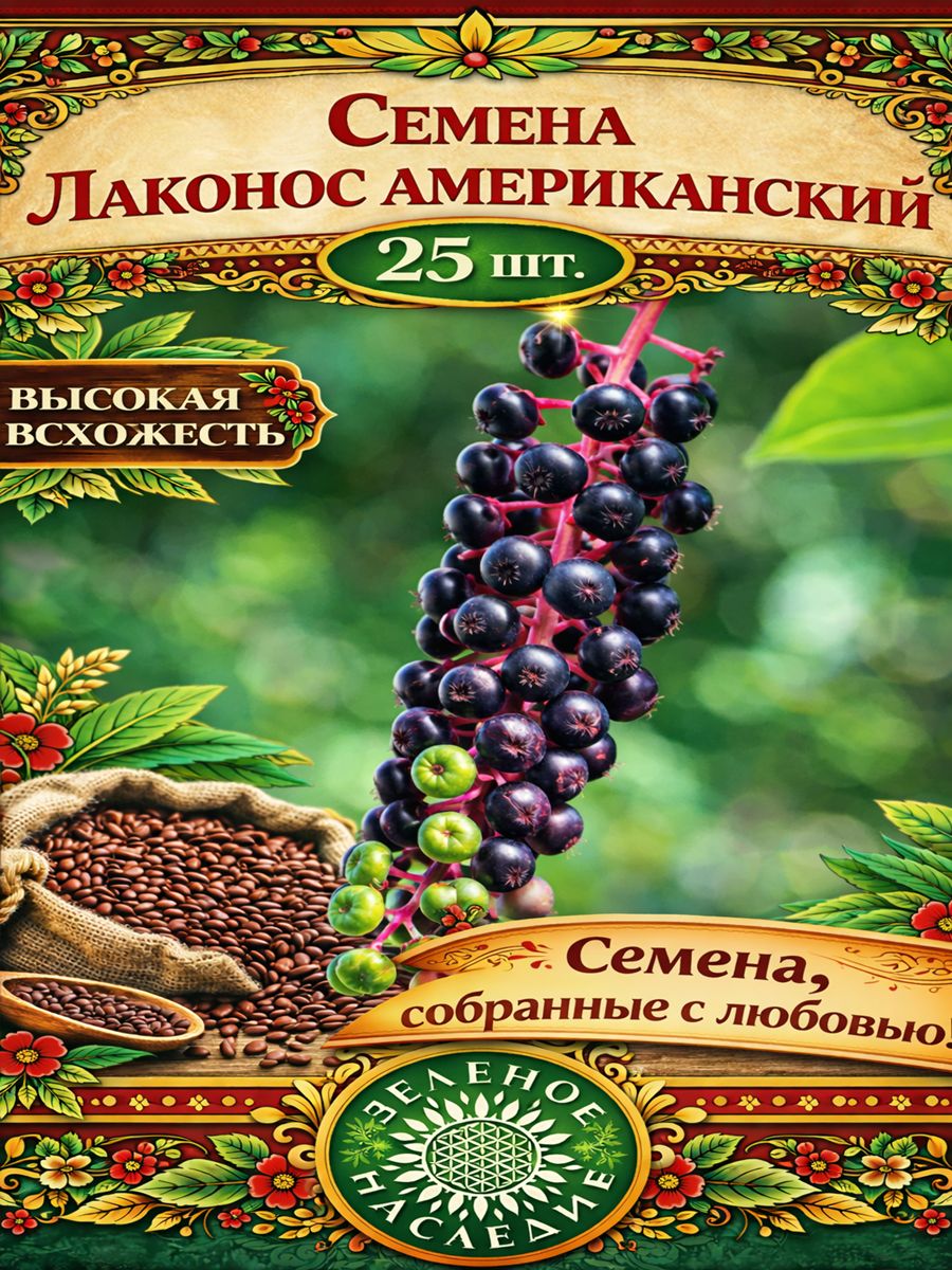 Семена Лаконос американский - Фитолакка американская (лат. Phytolacca decandra) 25шт