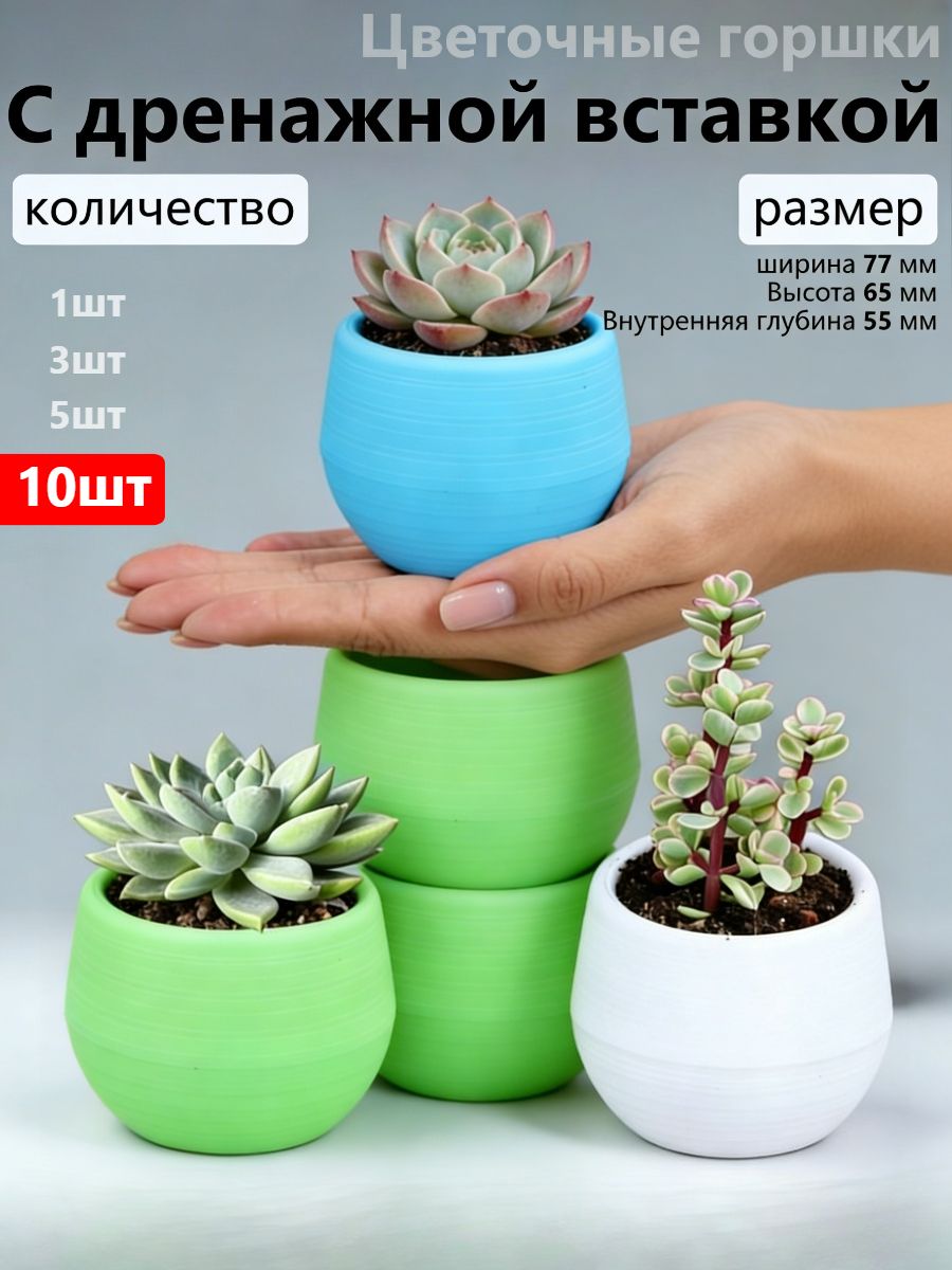 Горшок для цветов 6.5 см, 10 шт, лазурный, с дренажными отверстиями, пластиковый, для кактусов и суккулентов