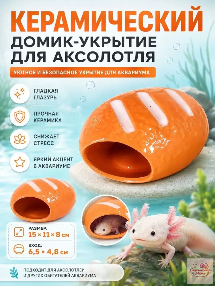 Аквариум для аксолотля.