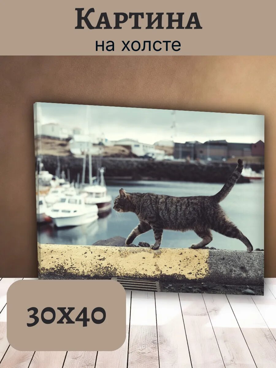 Картина Кот Кошка Cat 30x40 полосатый кот у моря