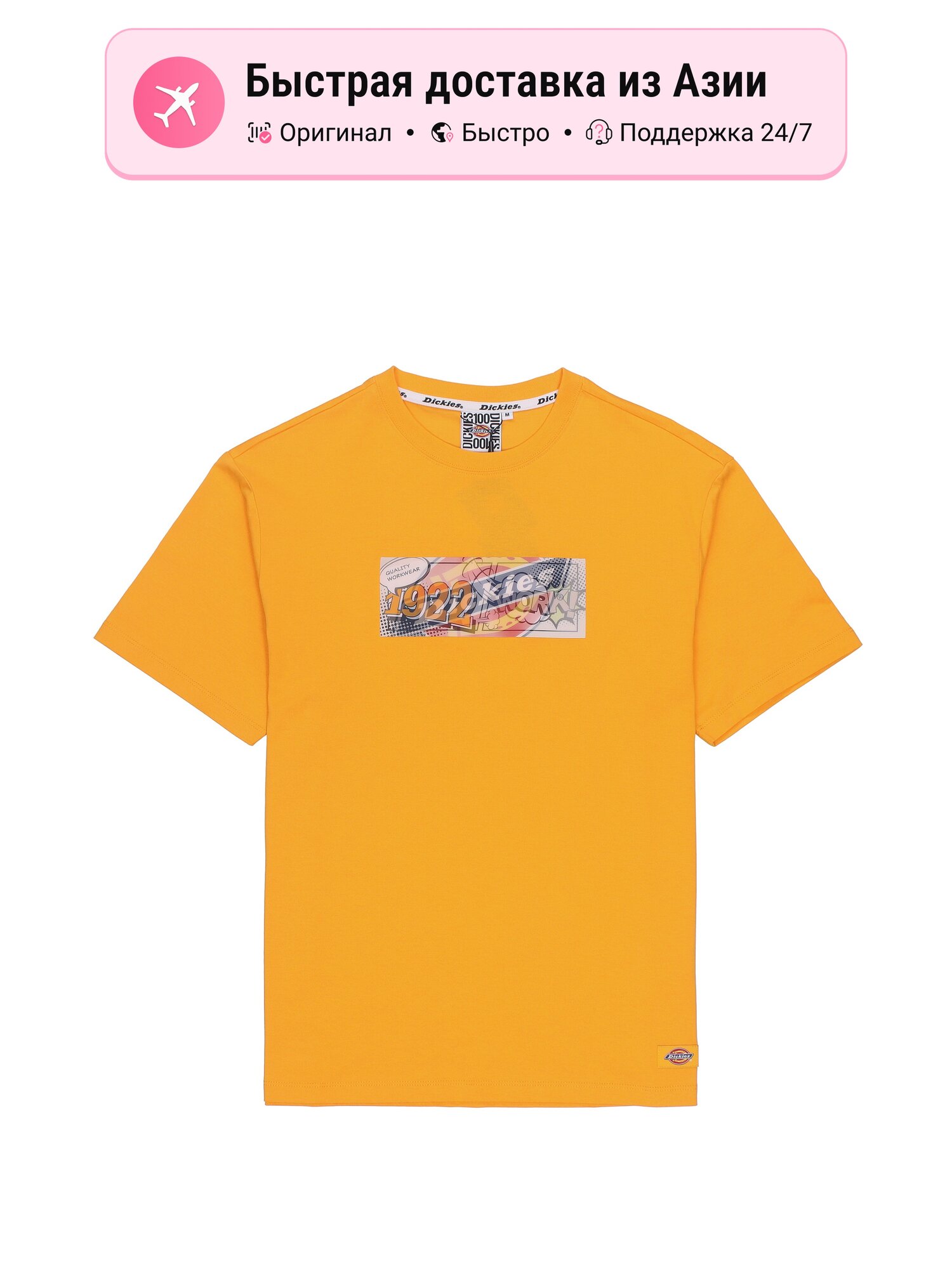 Футболка Dickies SS22