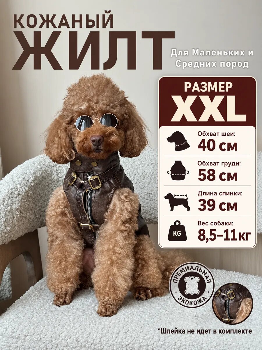Одежда для собак мелких пород