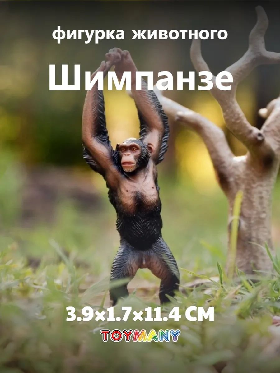 Toymany Фигурка животного, Коллекционная фигурка Шимпанзе, 39x17x114 mm