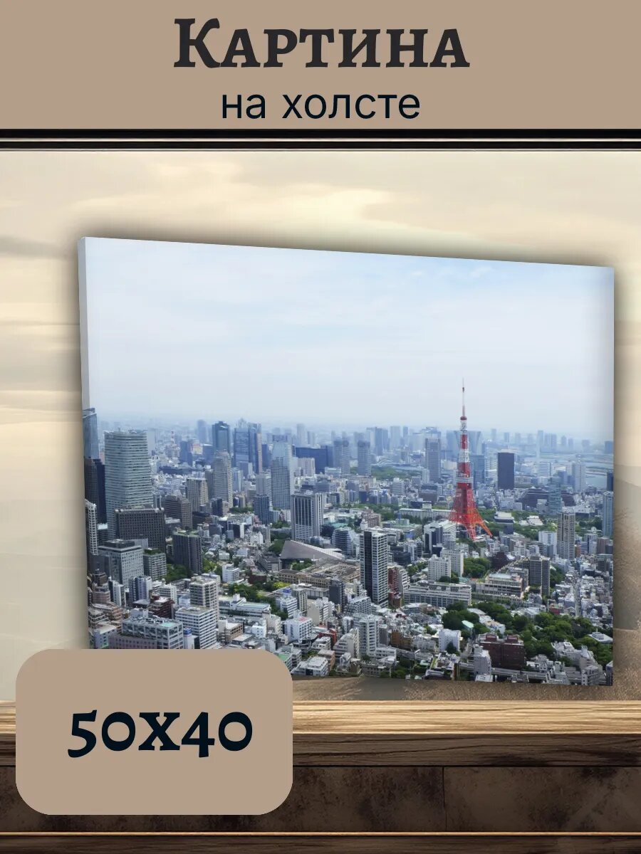 Картина Япония Japan 40x50 панорама Токио