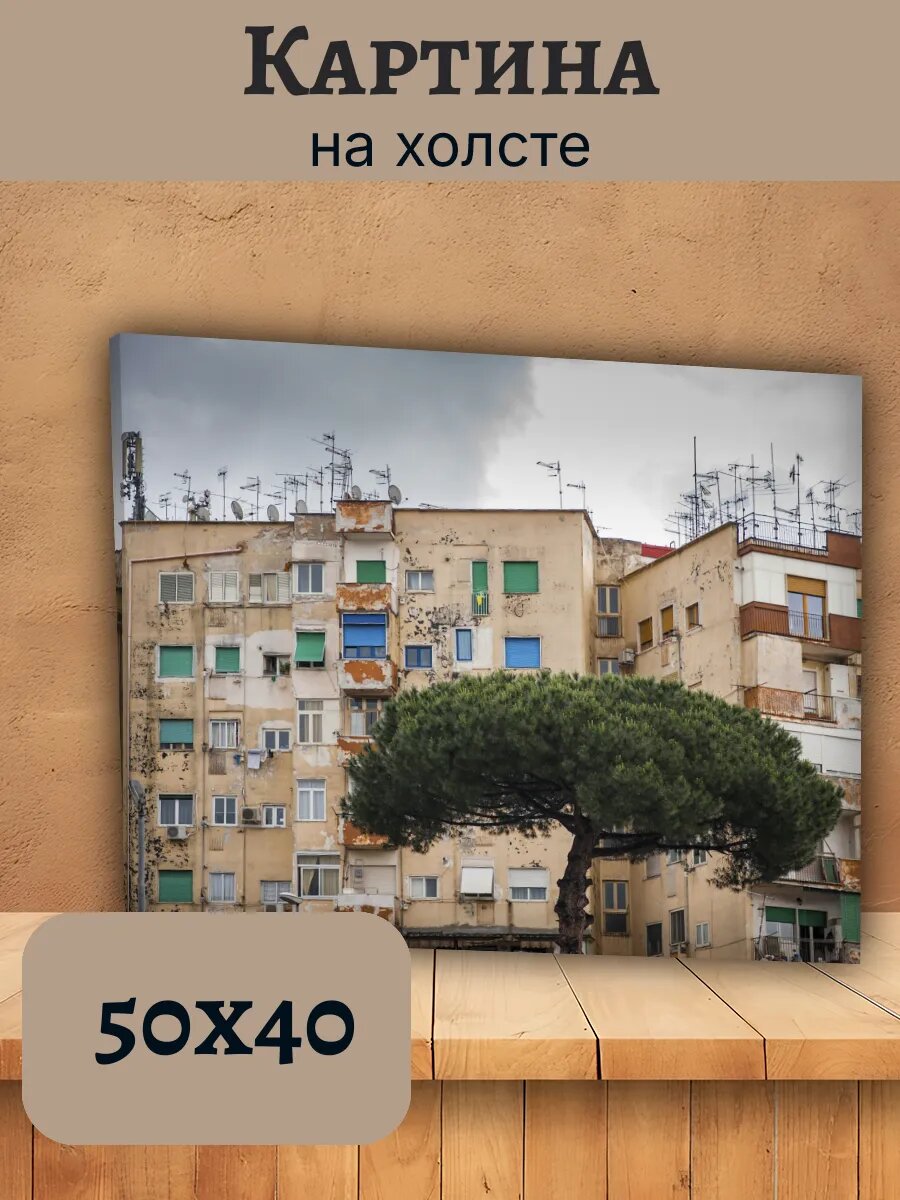 Картина Италия Italy 40x50 старинный дом с сосной