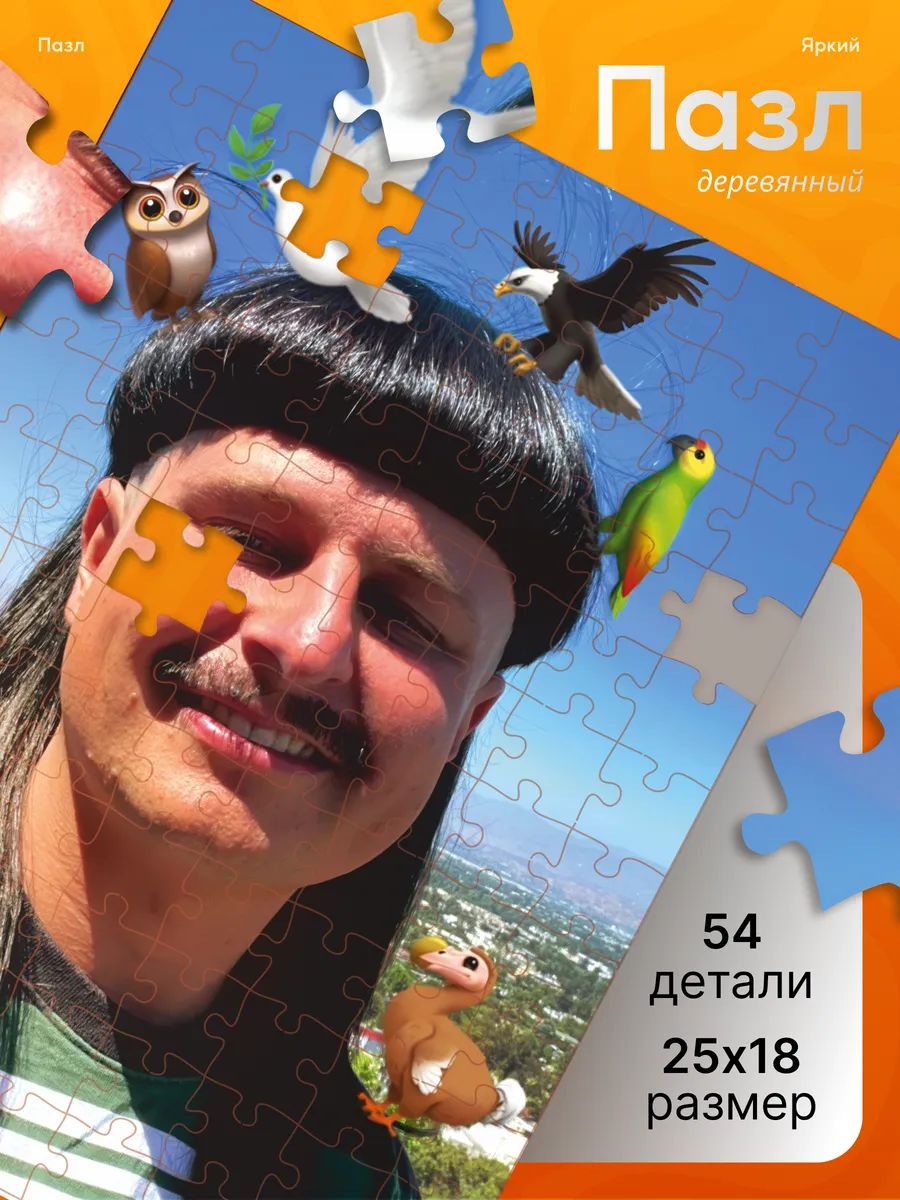 Деревянные пазлы для детей Оливер три