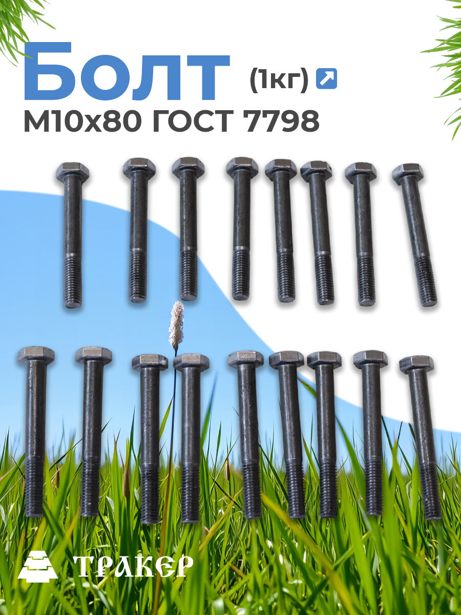 Болт М10х80 ГОСТ 7798 1 кг. (в 1 кг. примерно 17 шт.)