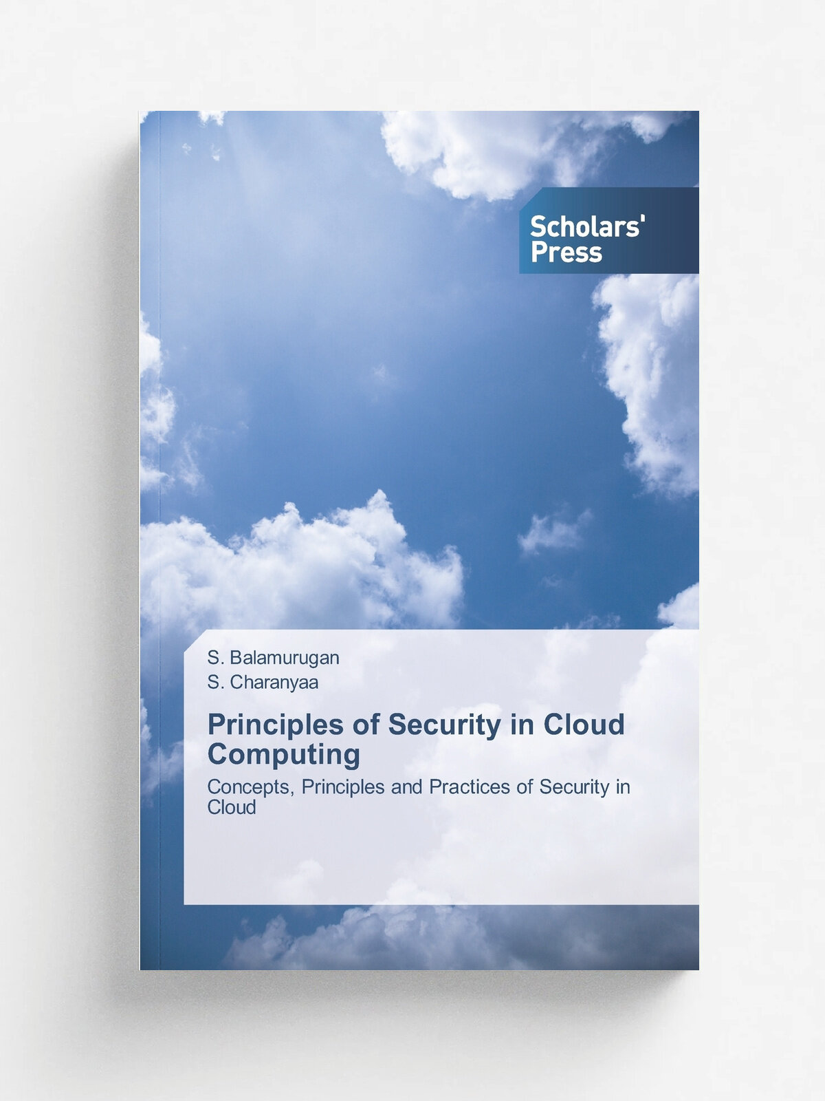 Principles of Security in Cloud Computing