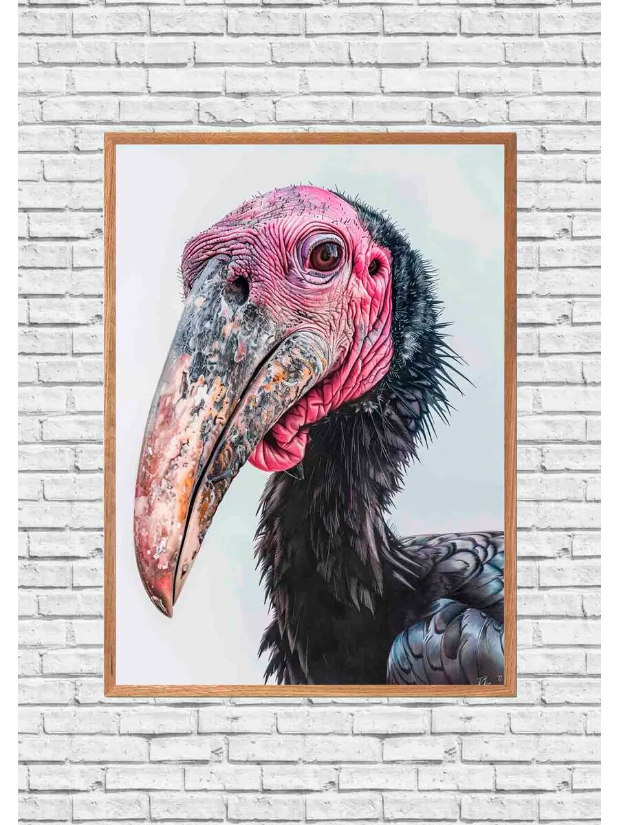 Птичий стоматолог-кондор 2, Плакат 30x42см