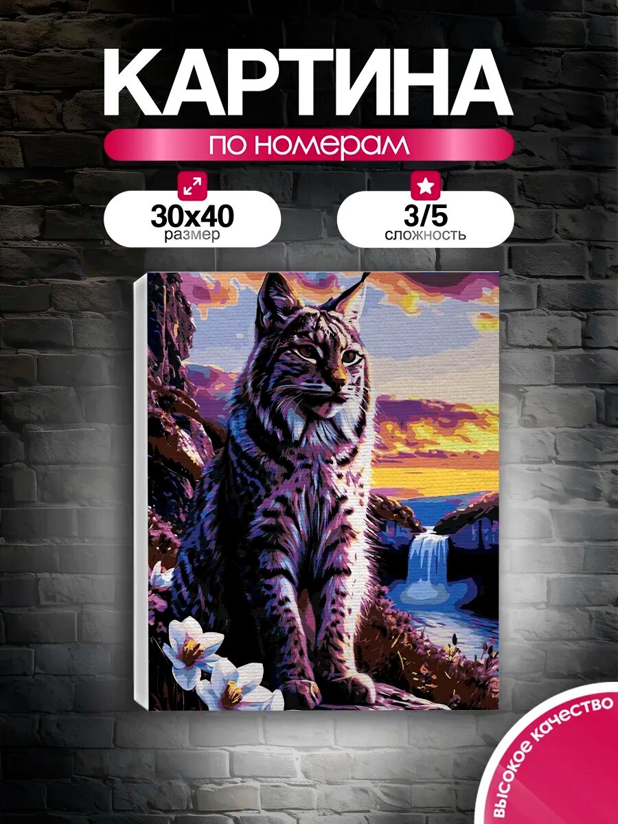 Картина по номерам 30x40 Рысь