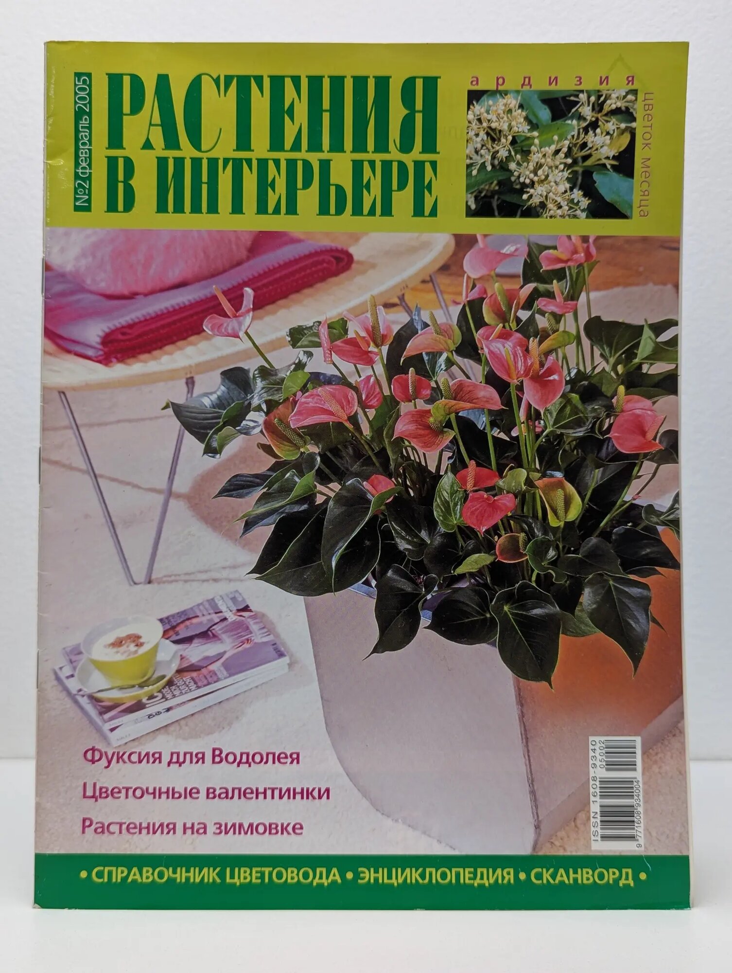 Растения в интерьере. Выпуск № 2/2005 Сборник 2005