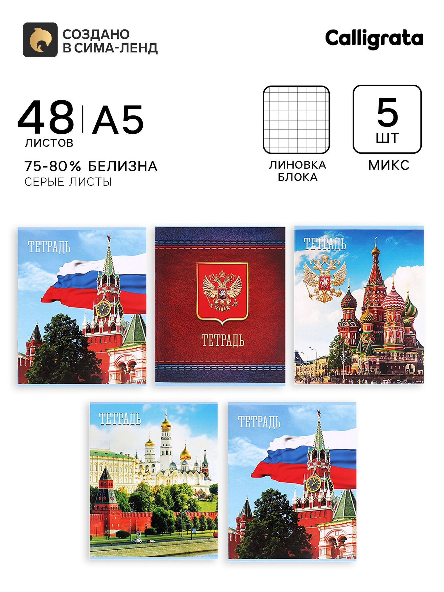 Тетради 48 листов в клетку «Россия», серые листы, 5 штук