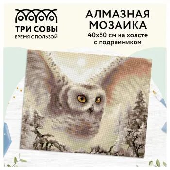 Алмазная мозаика ТРИ совы Полярная сова, 40*50см, АМП4050_47620