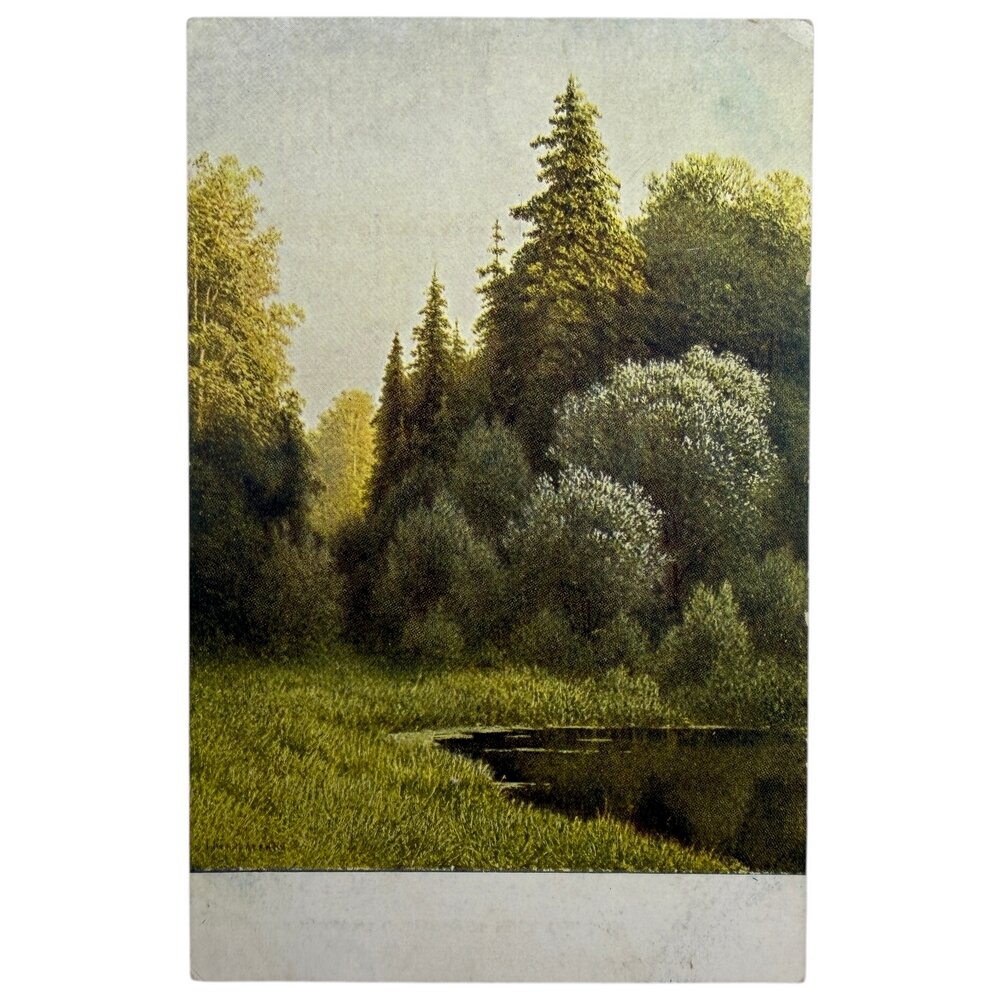 Почтовая открытка "Кондратенко - Пруд в роще" 1920-1930 гг. СССР