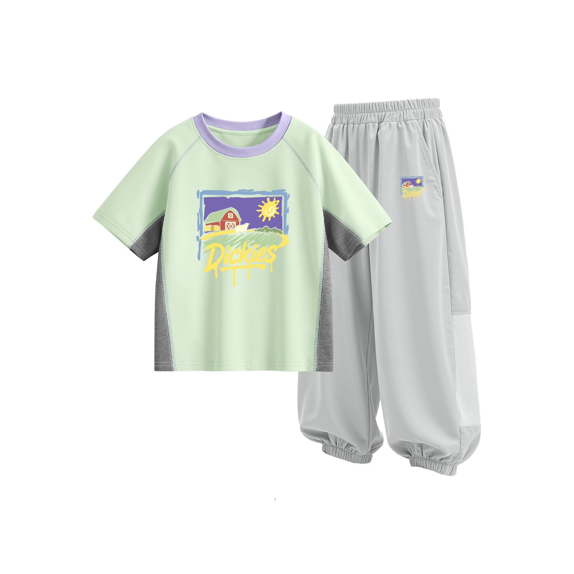 Комплект одежды Dickies