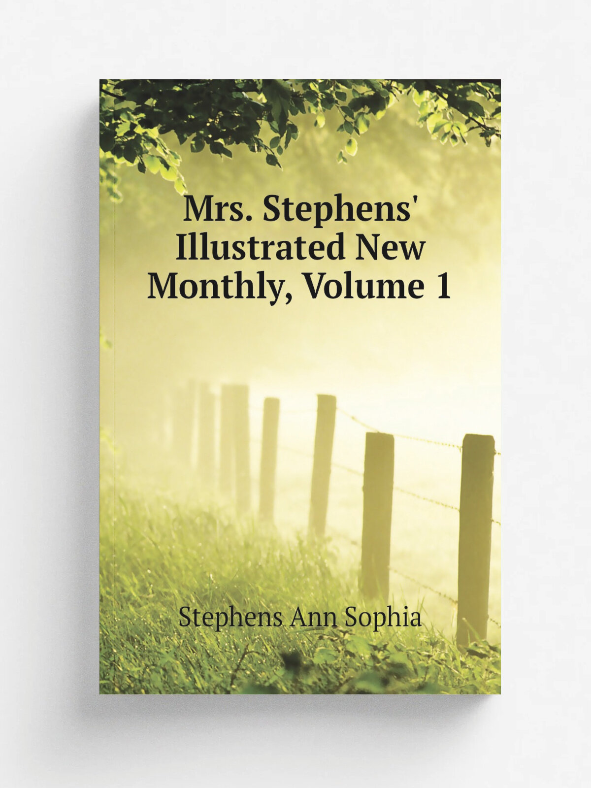 Mrs. Stephens' Illustrated New Monthly, Volume 1 | Stephens Ann Sophia | Репринт