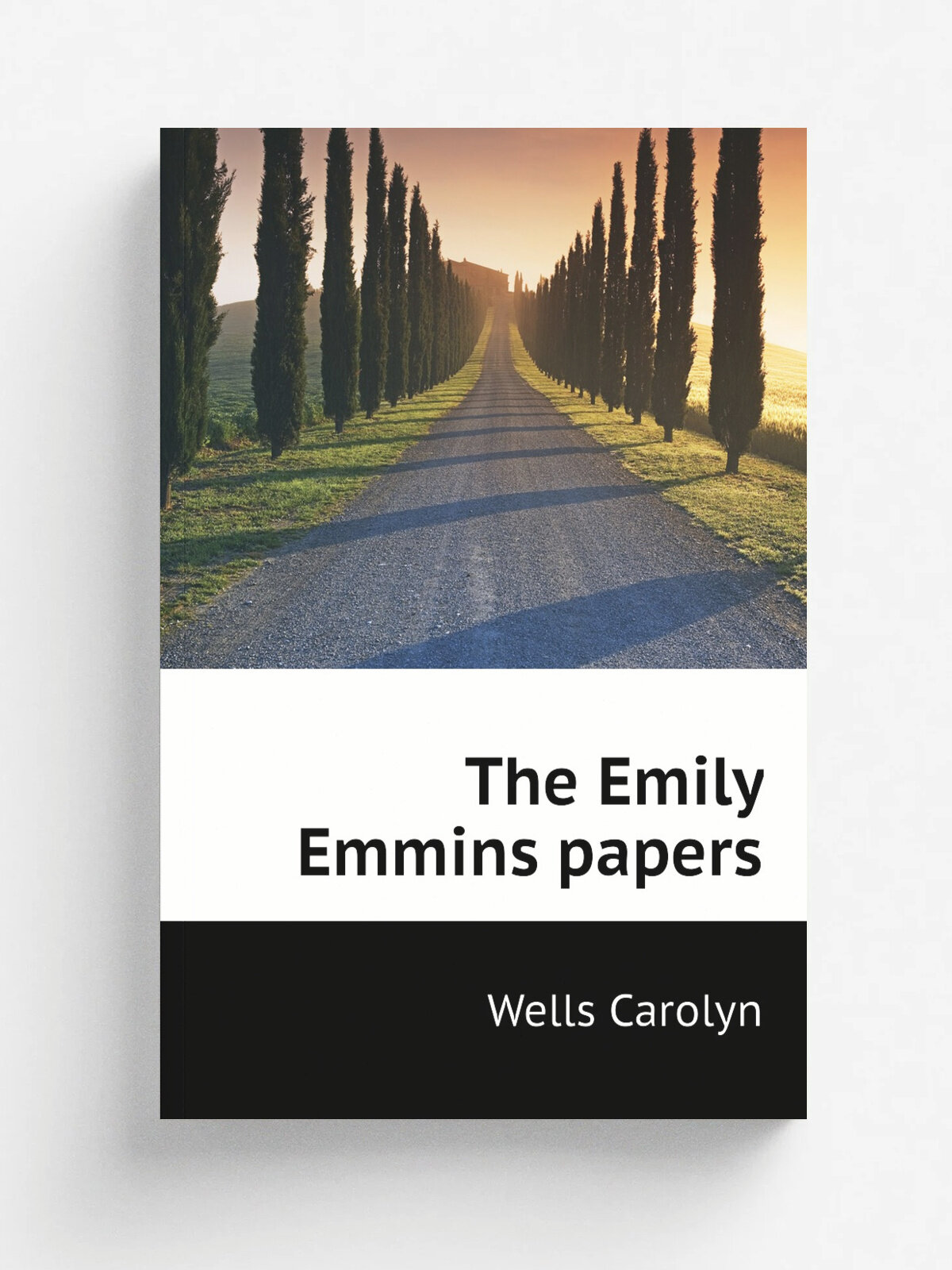The Emily Emmins papers | Wells Carolyn | Репринт