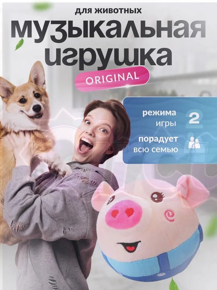Игрушка для животных для домашнего использования для игр питомца для дрессировки