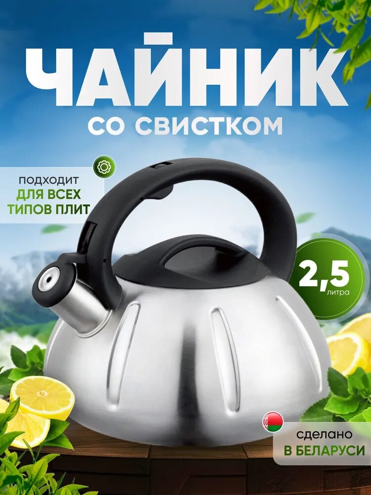 Чайник 2.5 л крышка в комплекте нержавеющая сталь серый, стандартный вариант модели