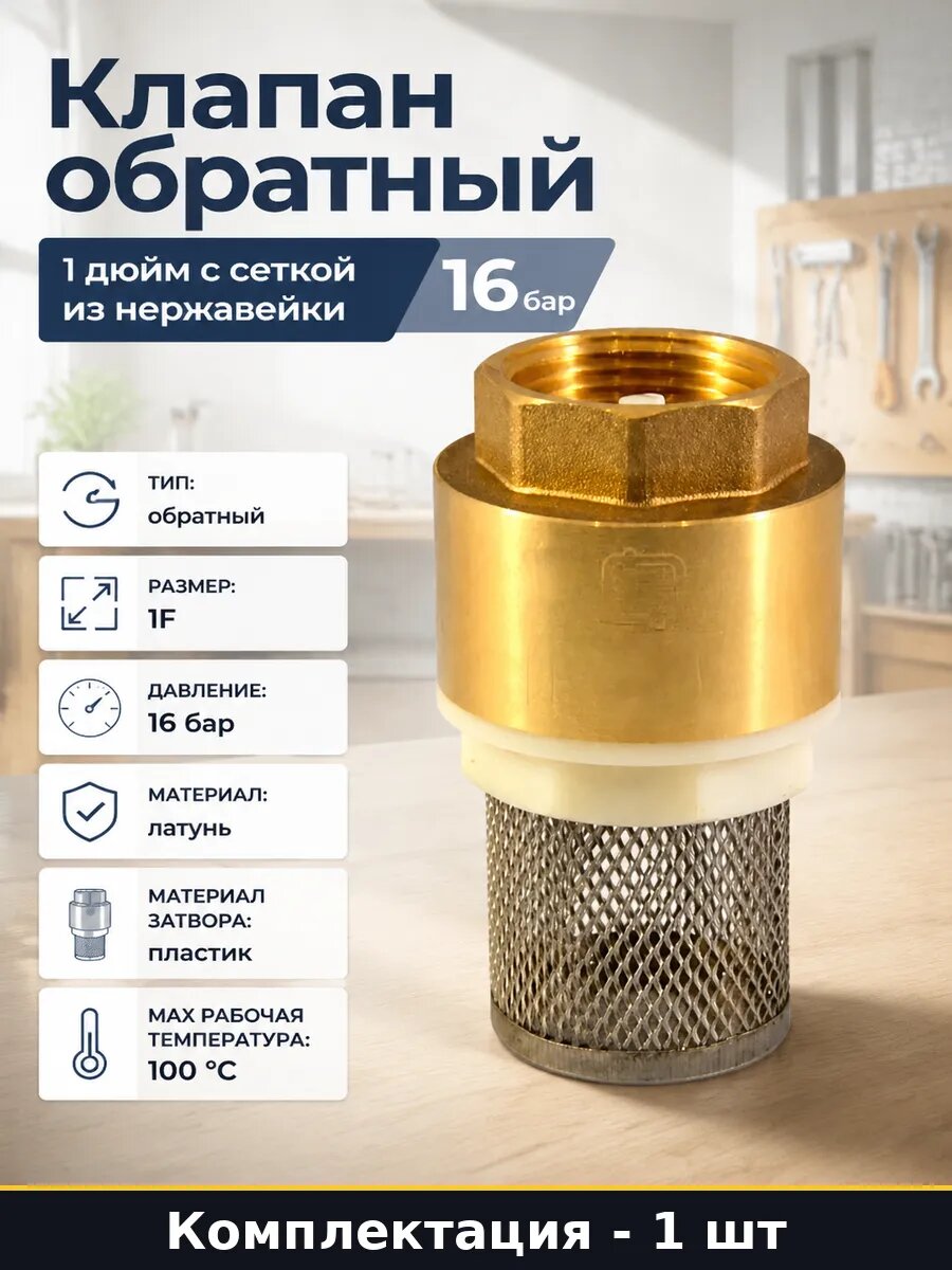 Клапан обратный 1 дюйм с сеткой из нержавейки 16 бар