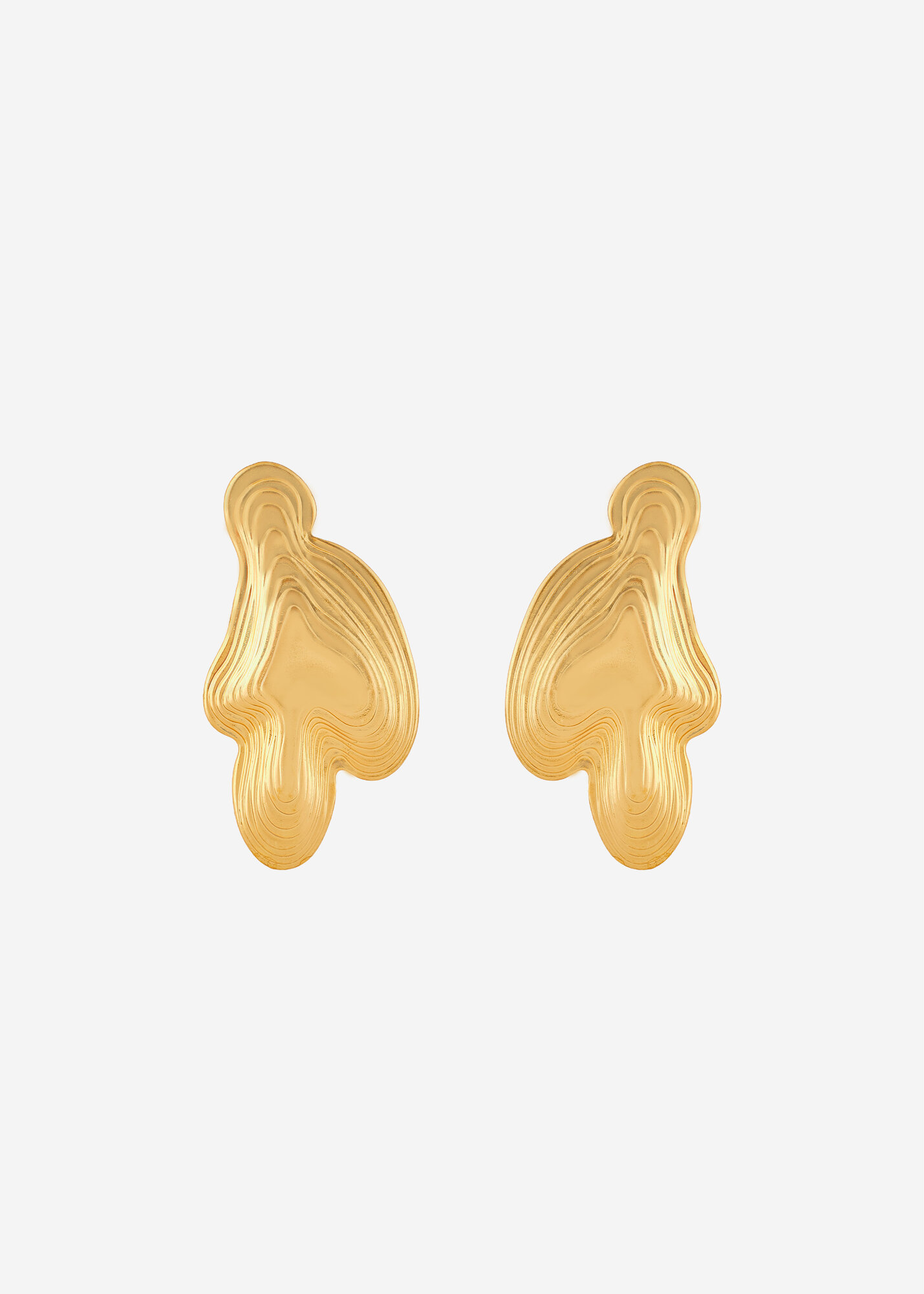 Серьги tannum