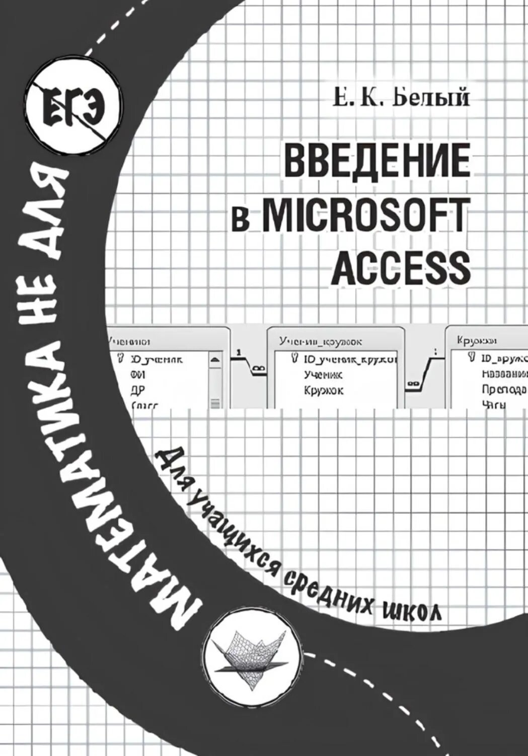 Введение в Microsoft Access [Цифровая книга]