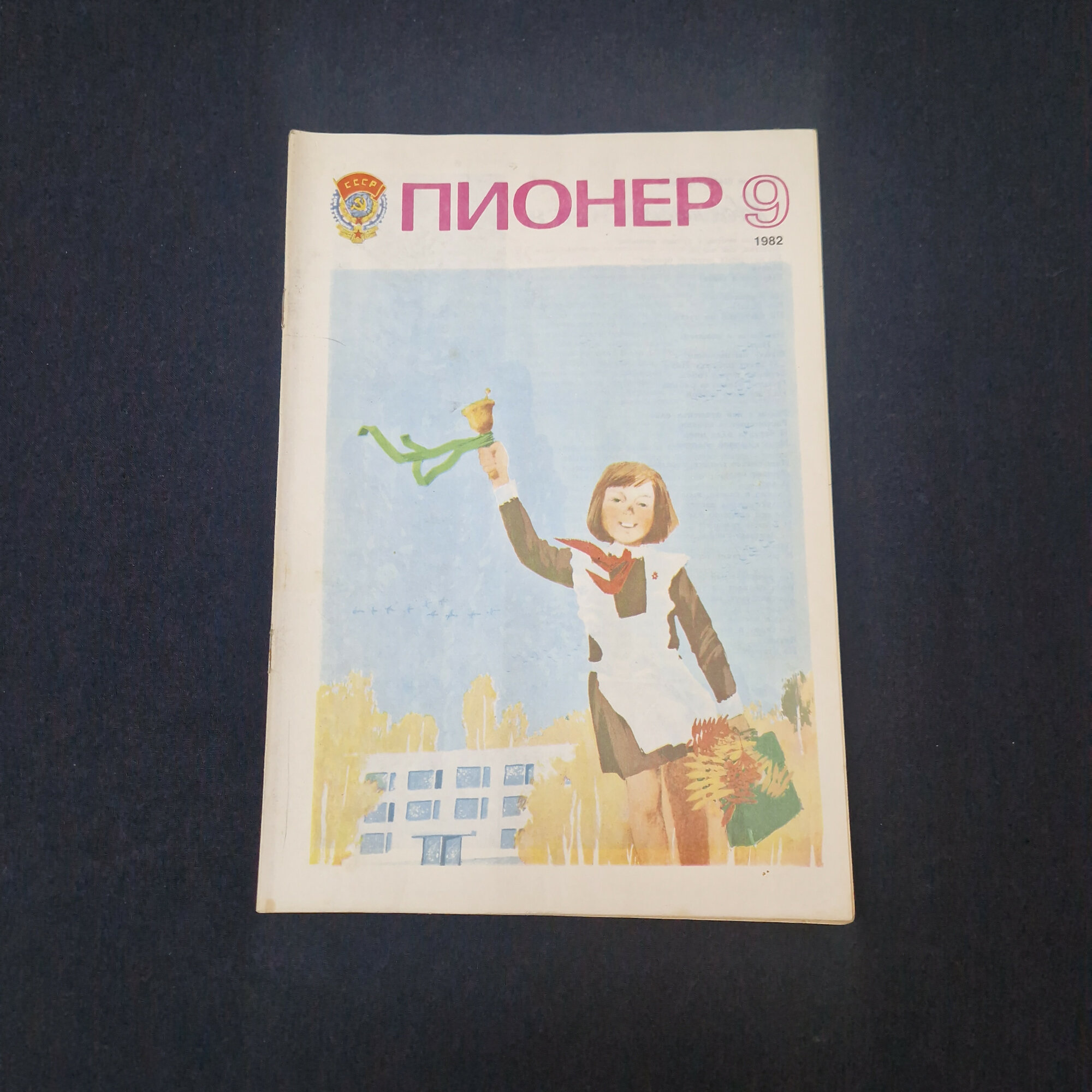 Пионер номер девять. Книга СССР, детский литературный журнал для школьников и юношества 1982 года