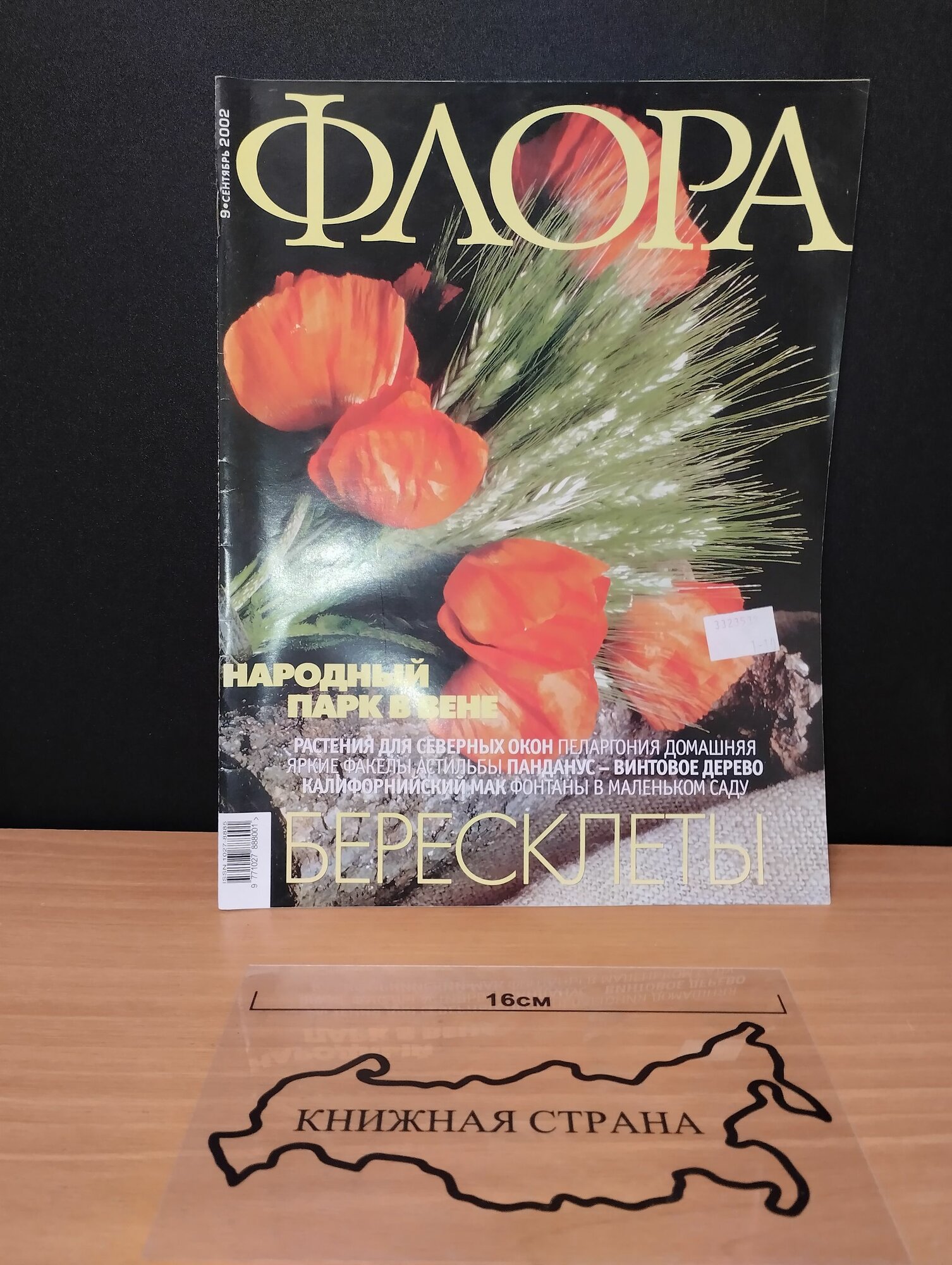 Журнал Флора. Выпуск № 9 сентябрь 2002