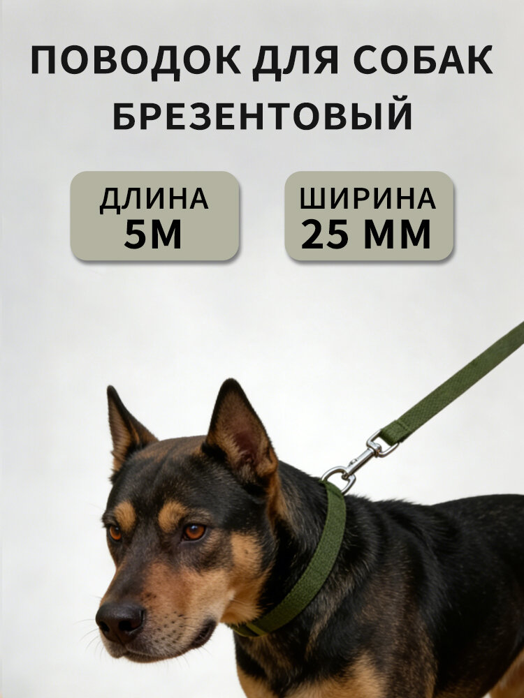 Поводок для собак, 5 м, профессиональный, усиленный, ремень PP, антирывок, для дрессировки крупных пород, легкий.